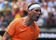 问鼎国际-蒂姆新星问鼎冠军表现惊艳，塞尔维亚队未来可期！的简单介绍